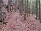 Zgornje Jezersko - Roblekova planina